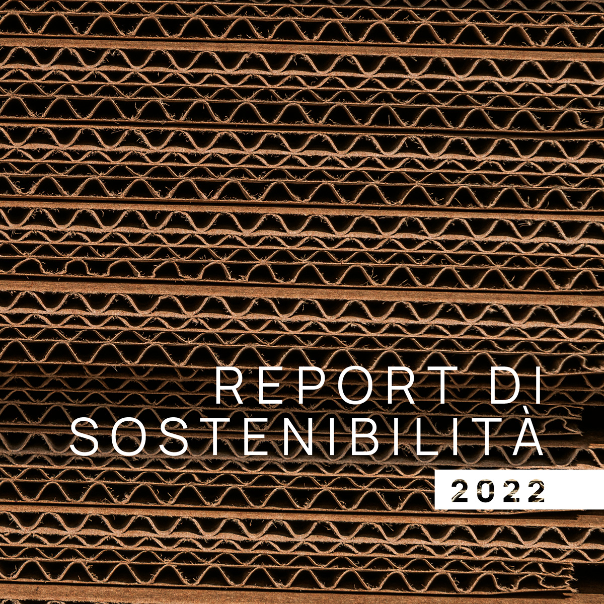 Report di Sostenibilità